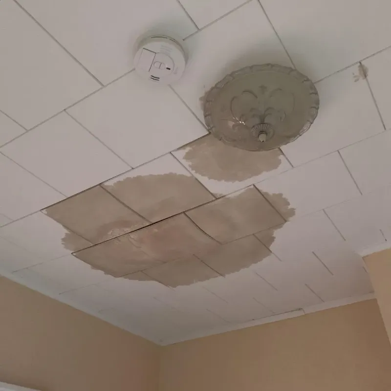 Ceiling Water Damage Repair in Wichita Falls, TX