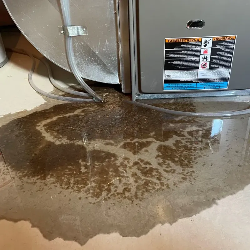 Pipe Burst and Leak Restoration in Wichita Falls, TX